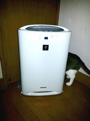 シャープ　プラズマクラスター　加湿空気清浄器買取〼！