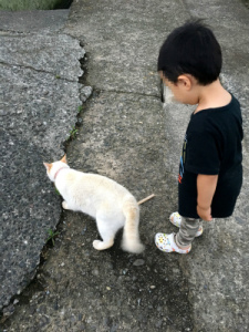 写真 2017-06-25 19 07 58