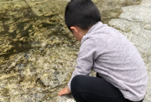 写真 2018-04-21 9 51 46