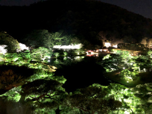 写真 2018-03-31 20 41 11