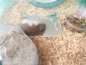 写真 2018-07-04 11 14 03