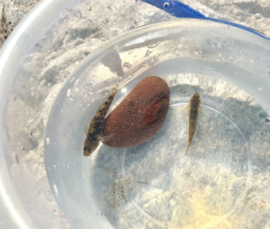 写真 2018-08-05 14 45 08