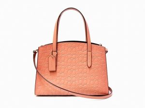 コーチ　キャリーオール