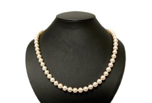 TASAKI　シルバー　パール　ロングネックレス